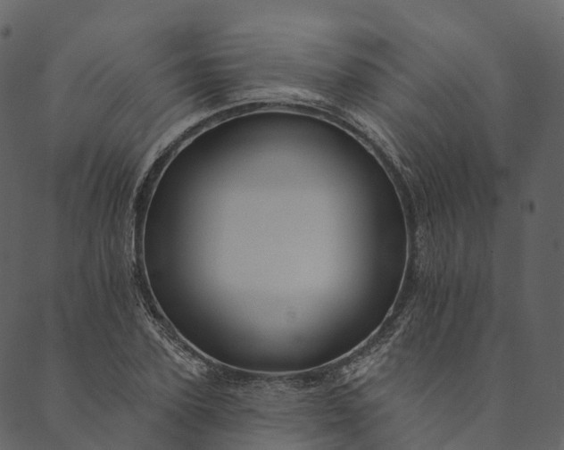 X0000089660931200707121155