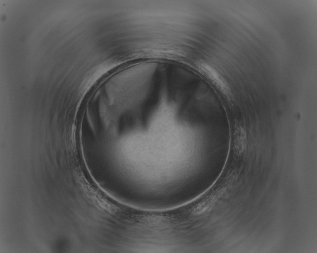 X0000089660932200707121155