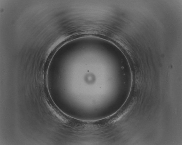 X0000089660933200707121155