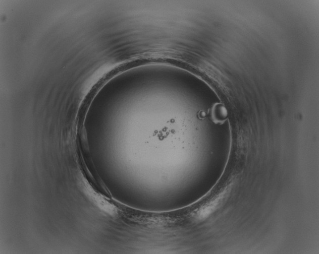 X0000089660934200707121155