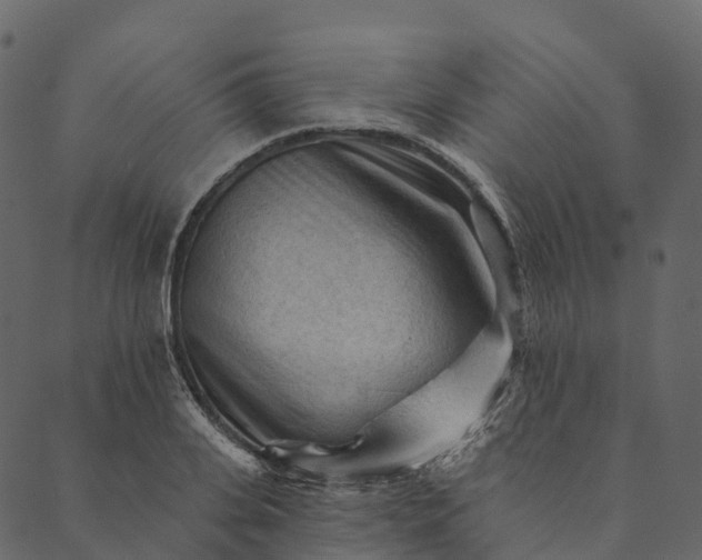 X0000089660935200707121155