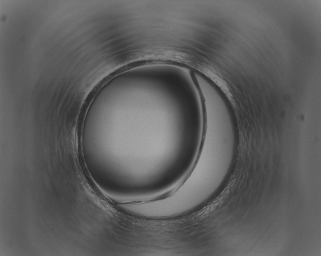 X0000089660936200707121155