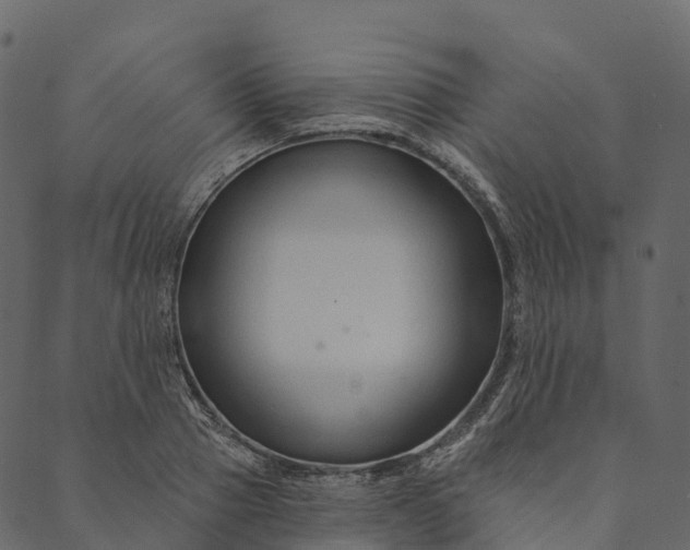 X0000089660937200707121155