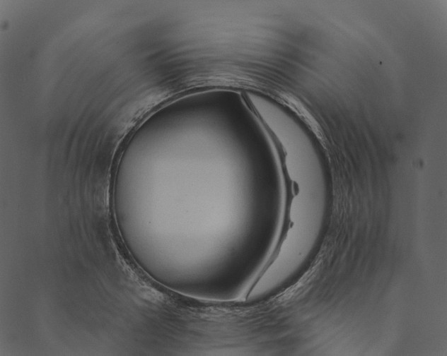 X0000089660938200707121155