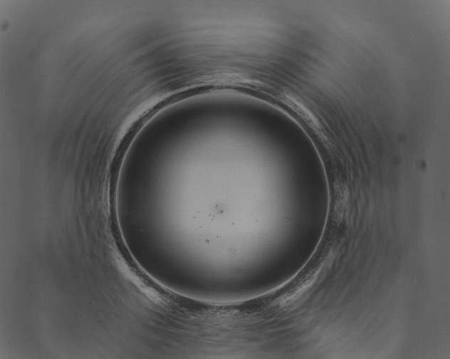 X0000089660939200707121155