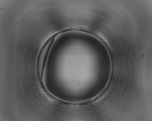 X0000089660940200707121155