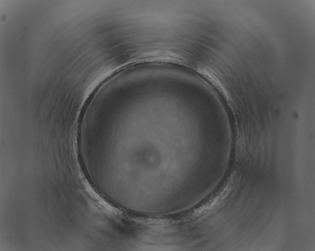 X0000089660941200707121155