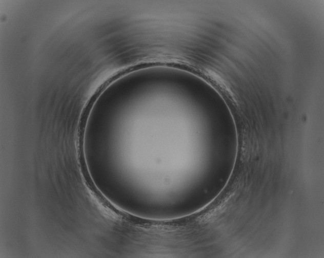 X0000089660942200707121155