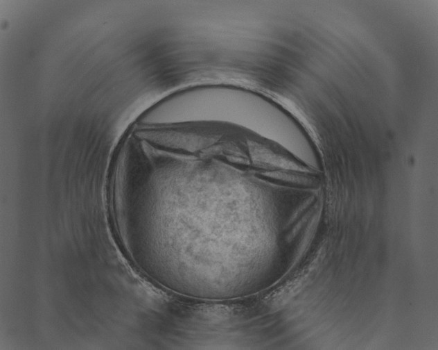 X0000089660943200707121155