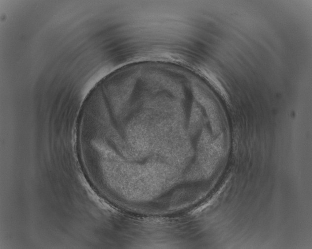 X0000089660944200707121155