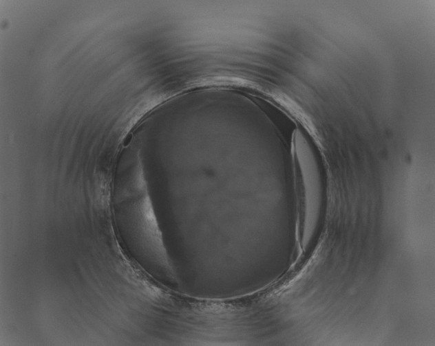 X0000089660945200707121155