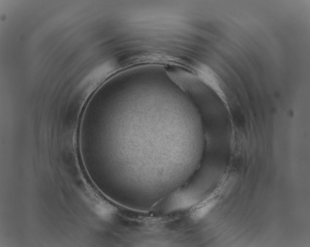 X0000089660946200707121155