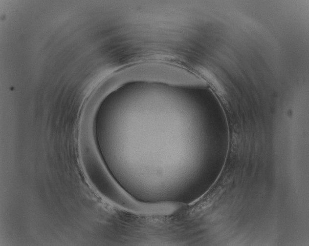 X0000089660948200707121155