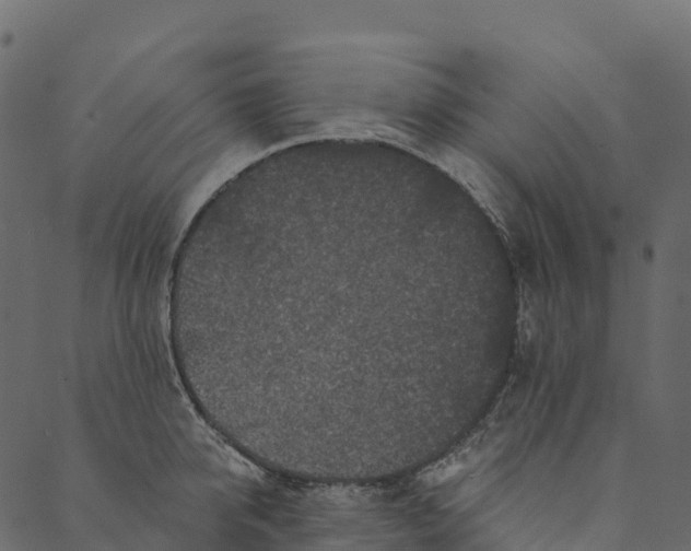 X0000089660950200707121155