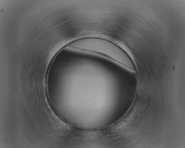 X0000089660951200707121155