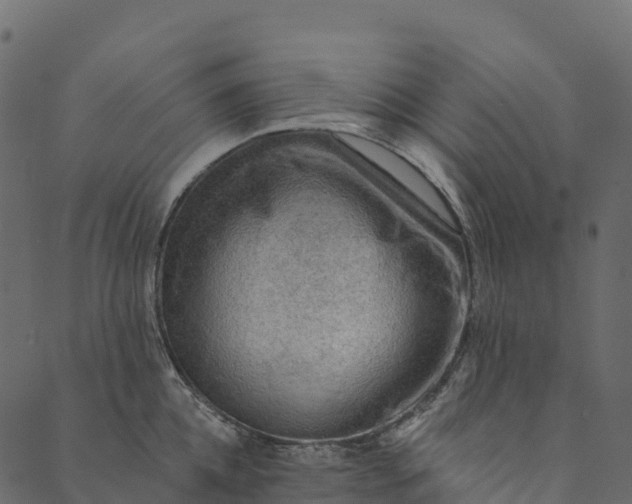 X0000089660952200707121155