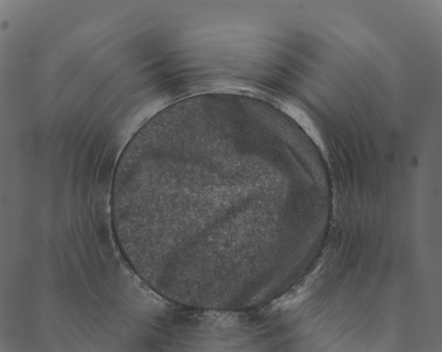 X0000089660954200707121155