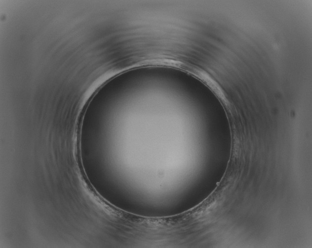 X0000089660955200707121155