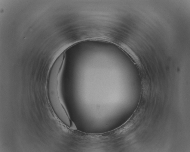 X0000089660956200707121155