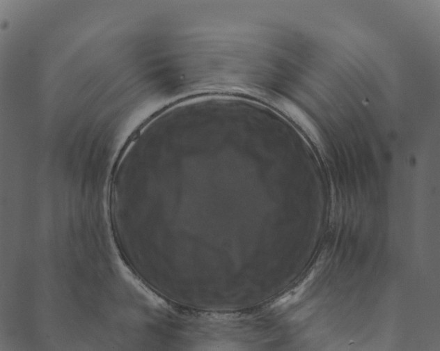 X0000089660958200707121155