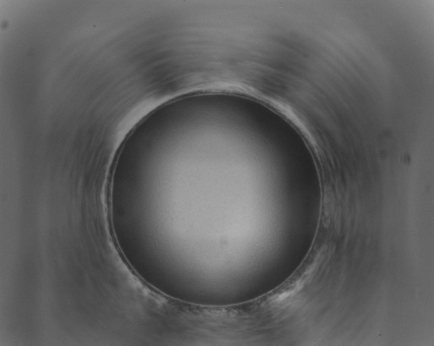 X0000089660959200707121155