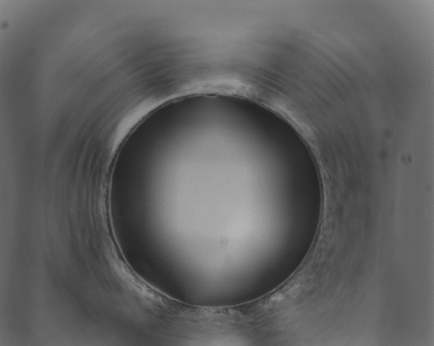 X0000089660960200707121155