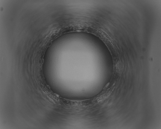 X0000089660961200707121155