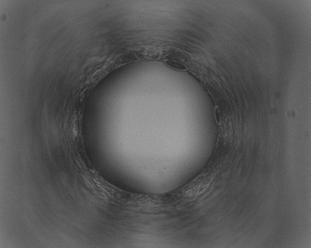 X0000089660962200707121155