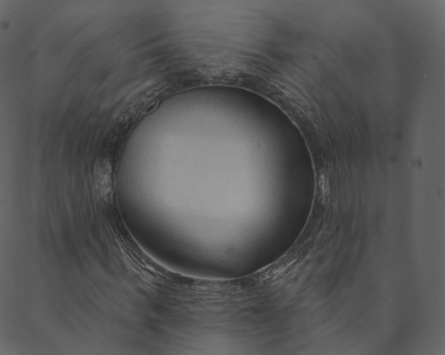 X0000089660963200707121155