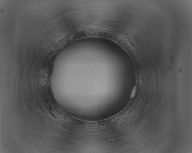 X0000089660964200707121155