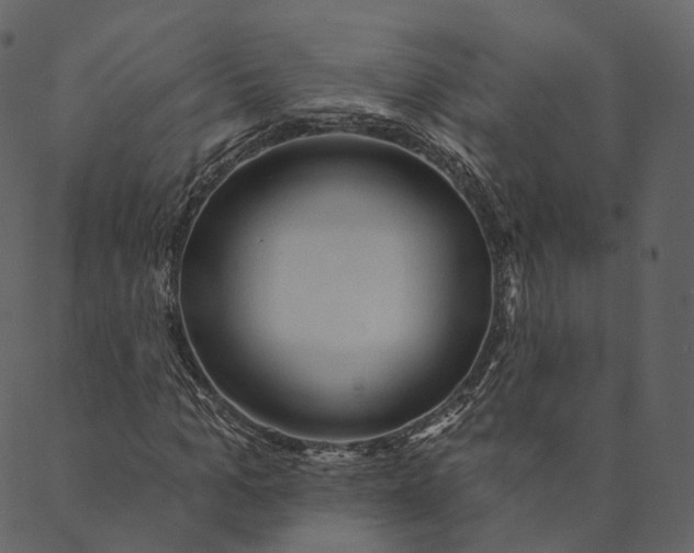 X0000089660965200707121155