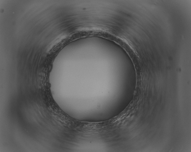 X0000089660967200707121155