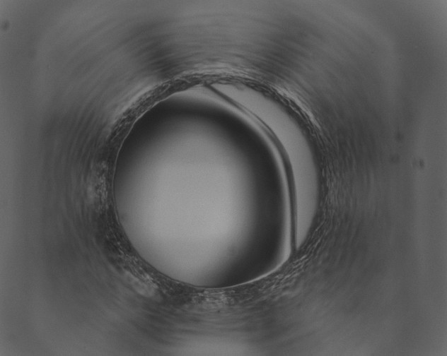 X0000089660968200707121155