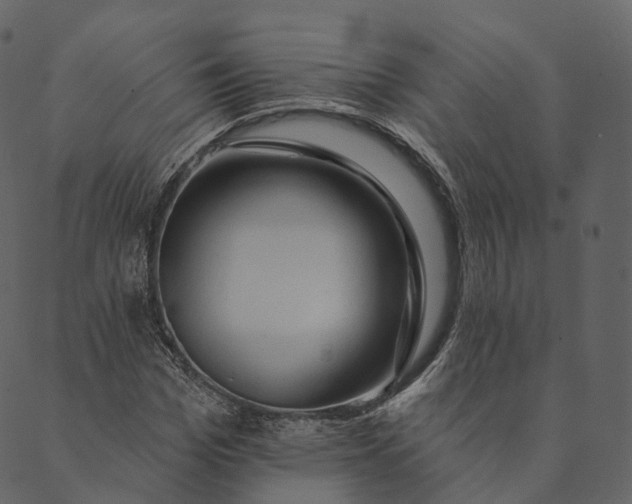 X0000089660969200707121155