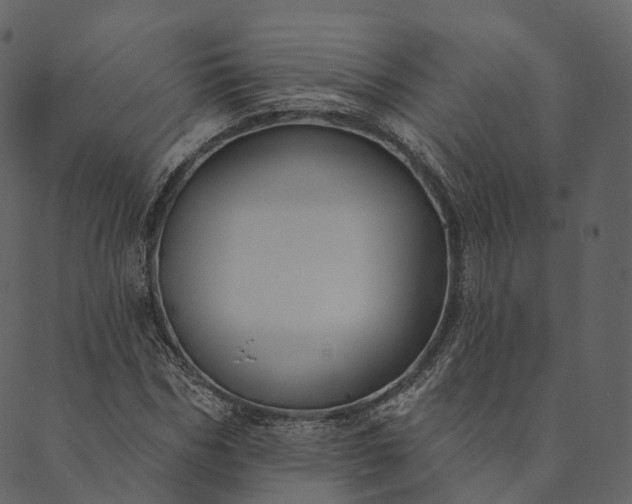 X0000089660970200707121155