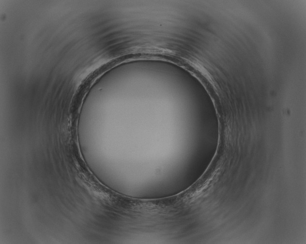 X0000089660971200707121155