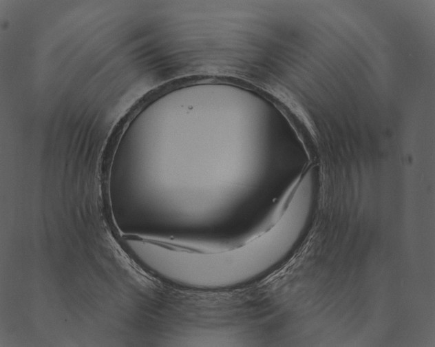 X0000089660972200707121155