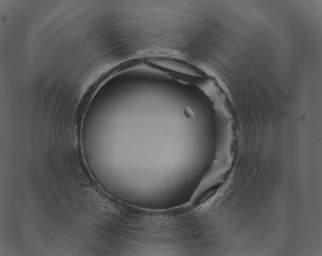 X0000089660973200707121155