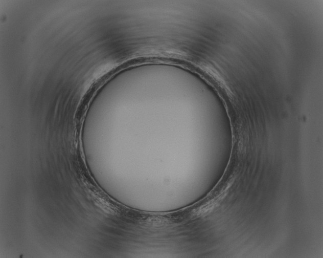 X0000089660974200707121155