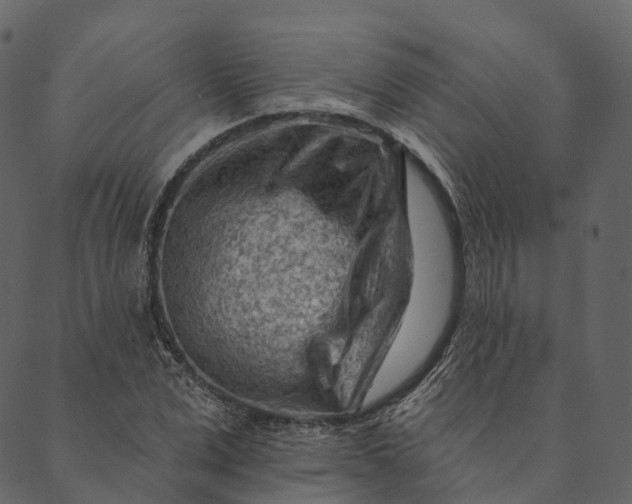 X0000089660975200707121154