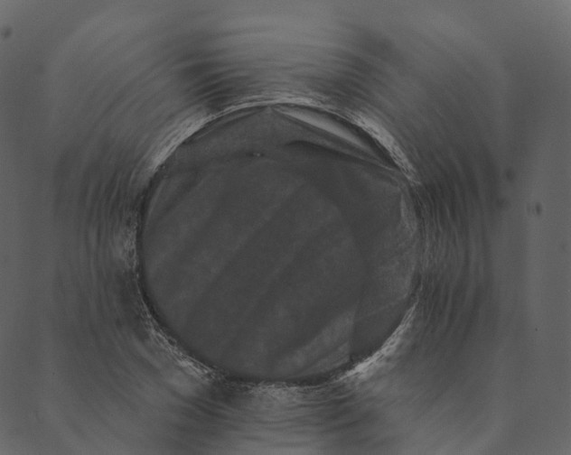 X0000089660977200707121154