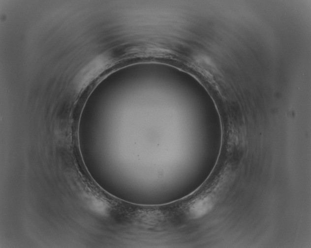 X0000089660978200707121154