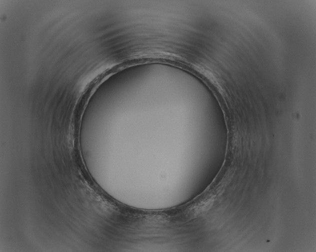 X0000089660979200707121154