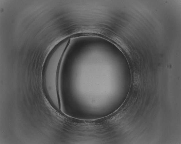 X0000089660980200707121154