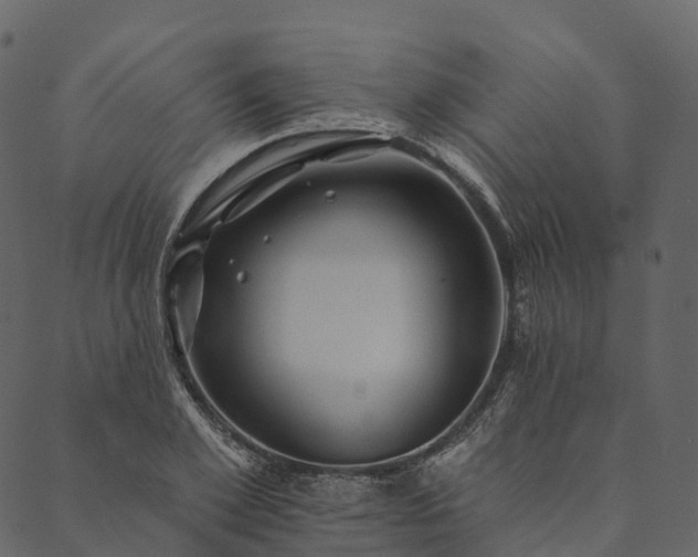 X0000089660981200707121154