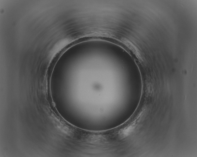 X0000089660982200707121154