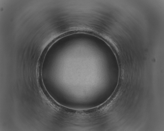 X0000089660983200707121154