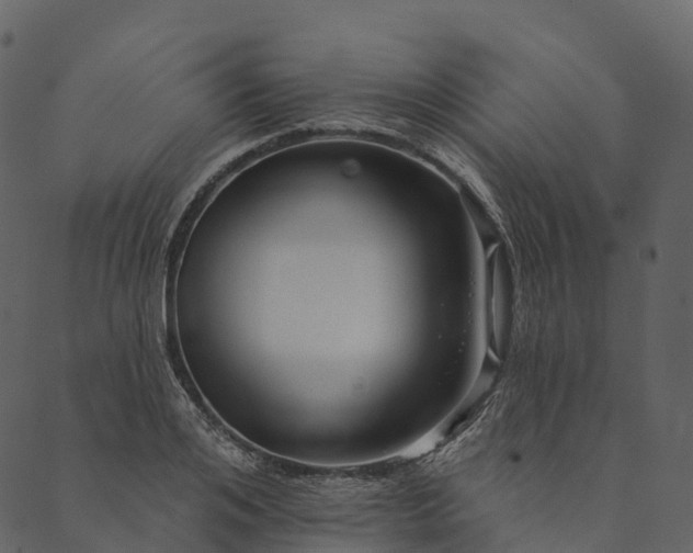 X0000089660984200707121154