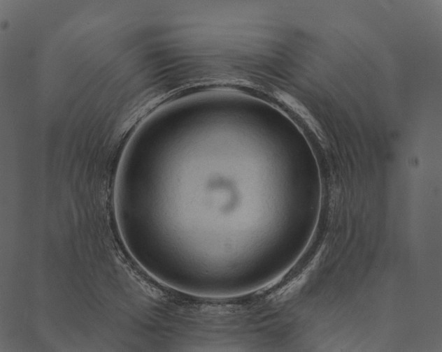 X0000089660985200707121154