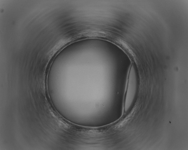 X0000089660986200707121154